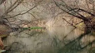 Расскажи мне , доля