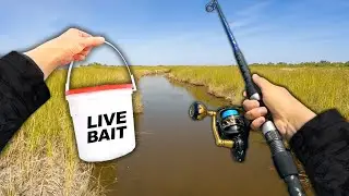 Eating Whatever I Catch.. Fishing the Saltwater Creeks (Catch and Cook)