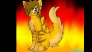 warrior cats high school it never ends
