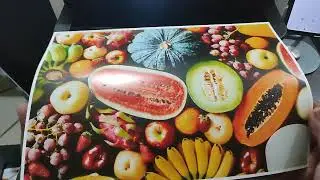EPSON WF C5390 PRINTER, A4 PHOTO PRINTING TEST ON STANDARD AND HIGH QUALITY GLOSSY PAPER
