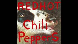 Red Hot Chili Peppers ~ May 13, 2003 ~ Air Canada Center ~ Toronto, Canada [AUD #2]