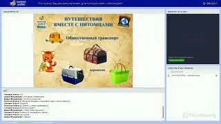 Что нужно для путешествия с питомцем?