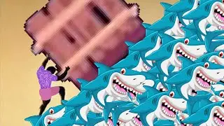 sharks happy