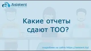Какие отчеты сдают ТОО? asistent.kz
