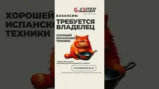 требуется владелец хорошей испанской техники #exiteq #встраиваемаятехника #обзор #homerenovation
