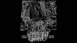 Lichen Path - A Place of Death, Teeming with Life