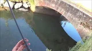 Finiti i siluri succede di tutto