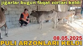 BOGOZ SIGIRLAR SOTILADI ☎️902052128 мая 2025 г. Арзон богоз сигирлар сотилади