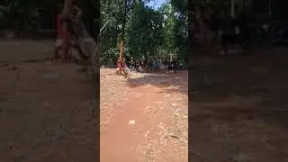 Detik-Detik Pohon Pinang Tumbang!!! #panjatpinang #17agustus2023 pp