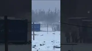 Бурение скважин. Нападение медведя на вахтовый поселок