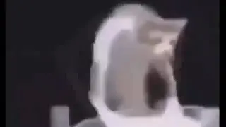 Memes i uploaded to YouTube 🔴