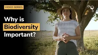 Why is Biodiversity Important?
