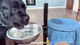 Подборка видео из паблика