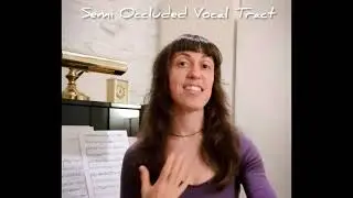 What are the SOVT Exercises?