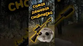 САМАЯ ДЕШЕВАЯ СНАЙПЕРКА В ТАРКОВЕ \  