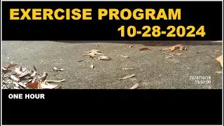 October 28, 2024 - exercise program