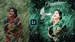 Lightroom green and bird effect photo editing tutorial | Lightroom background colour change preset