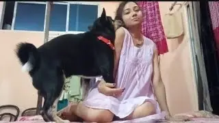 My Dog ​​Shinchan Has Started Playing Before Sleep And He Is Now Playing With Me Like This