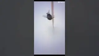 XD