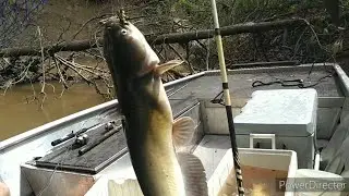 Catfishing the Sabine Outboard Jet