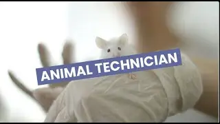 Discover Careers: Animal Technician | Sortyourfuture
