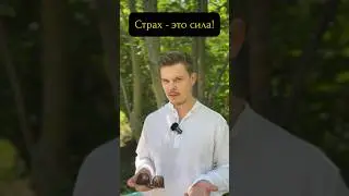 Страх - это сила! Не дайте ему разрушить себя!