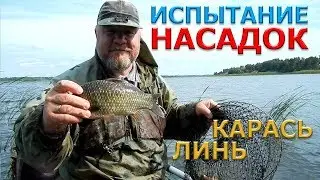 Рыбалка на поплавок.КАРАСЬ,ЛИНЬ.ИСПЫТАНИЕ разных НАСАДОК.