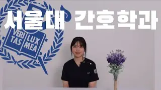 서울대 간호학과의 모든 것💉