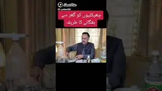 chipkali ko Ghar Sy baghany ka asan taarika 👌