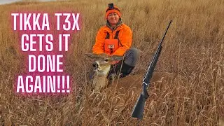 Rifle Deer Hunting Success (ft. Tikka T3X Lite .308 Win)