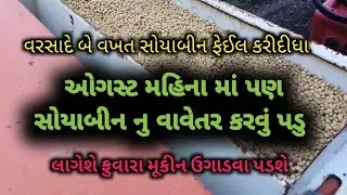 August માં પણ soyabean નુ વાવેતર કરું ll લાગેશે ફુવારા મૂકીન ઉગાડવું પડશે ll લડી લેવું સે