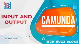 Camunda BPMN - Input and Output Parameter | TECH BUZZ BLOGS