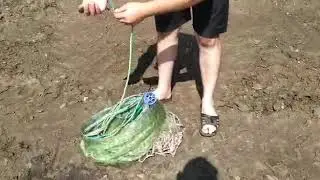 #кастинговаясеть