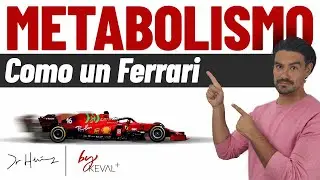 5 Herramientas para Acelerar tu Metabolismo [Como un 🚀]