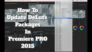 How To Update DeLuts Packages In Premiere Pro 2015