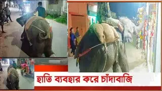আট বছরের হাতি বাচ্চা দিয়ে, অভিনব কায়দায় হাতিয়ে নিচ্ছে হাজার হাজার টাকা।