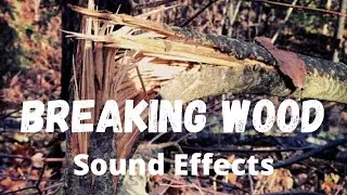 Breaking Wood Sound Effect - Crate Shattering