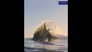 The beautiful sea 