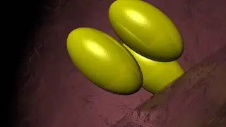 Bile Acid Sequestrants for high Cholesterol levels