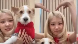 Rosé Live Today - Christmas Day Special