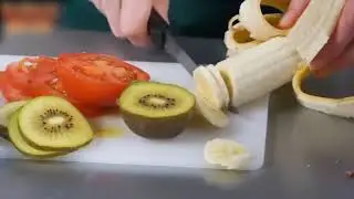 Food Dehydrator
