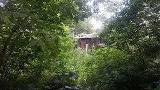 Угольный разрез заброшка и поляна восемнаха !