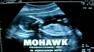 Job Site Productions/ Mohawk Productions/ Warner Bros. Television