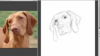 Dog Sketch by Shyam Deshpande