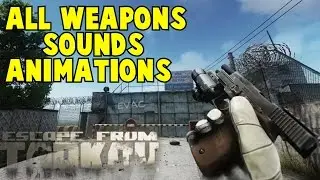 Escape From Tarkov All Guns Sounds Reloads &  Some Animations