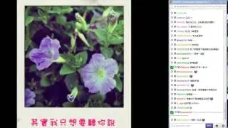 女王神樂小歌廳 朵朵