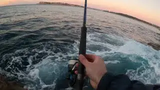 Themis Fishing Australia - lost Kingfish
