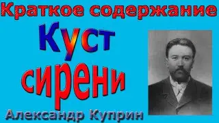 Краткое содержание Куст сирени, Куприн