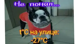 -27°С 😁 ухх
