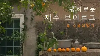 [vlog]봄날의 제주도, 아기자기한 소품샵&카페&식당